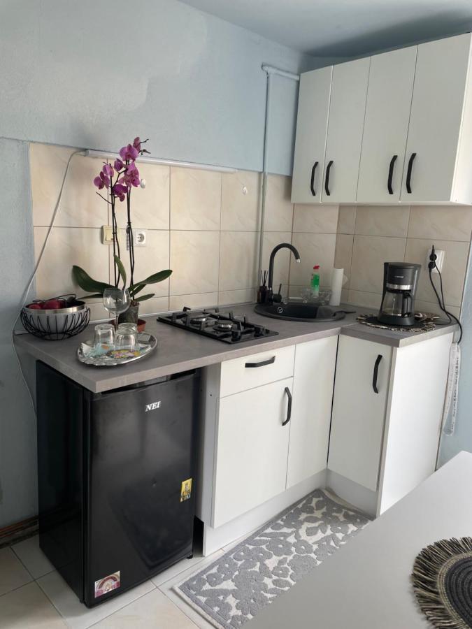 Garsoniera La Casa Apartment ทิมิชัวรา ภายนอก รูปภาพ